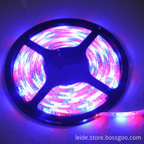 LED strip, SMD5050, color changing